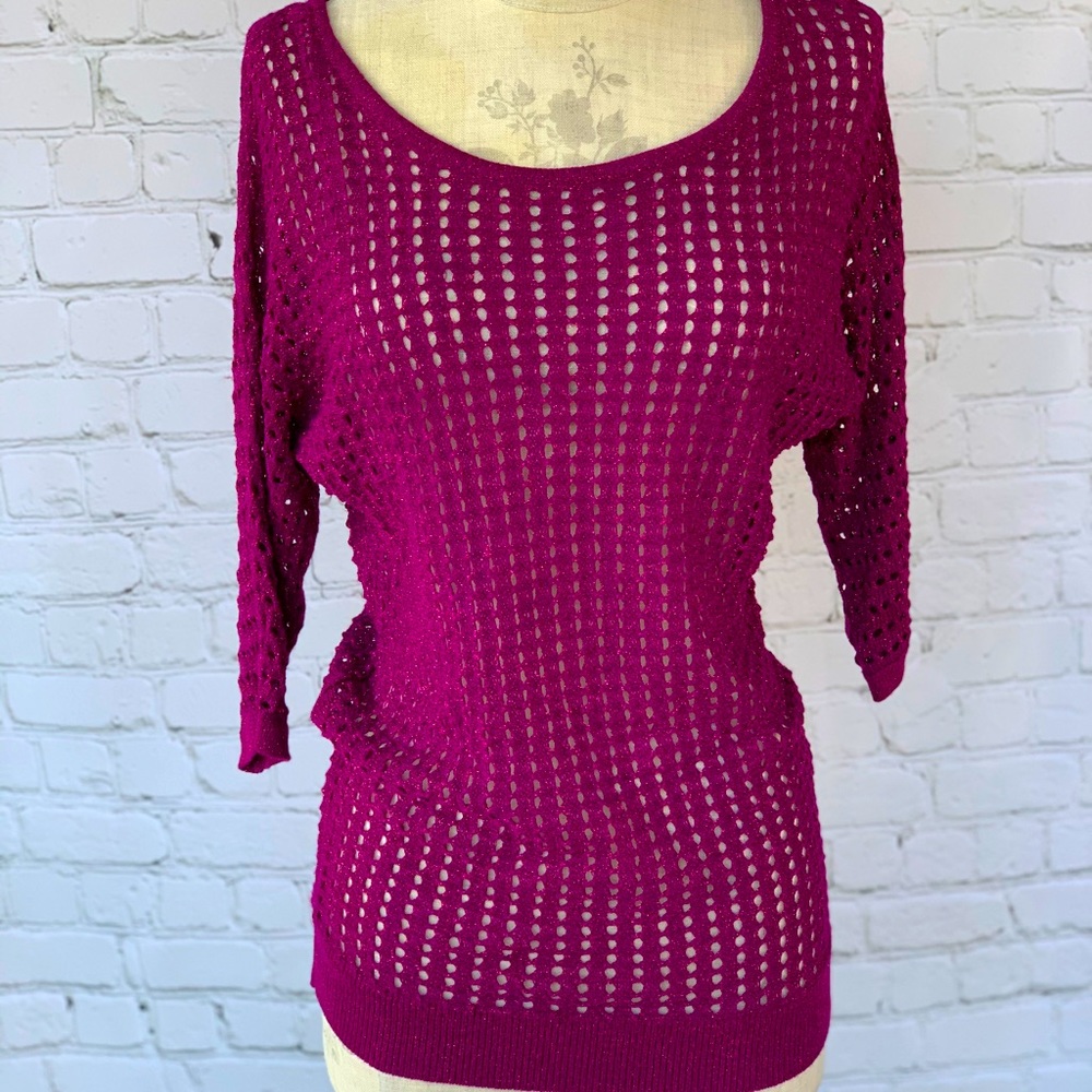 Express Magenta Netted Sweater